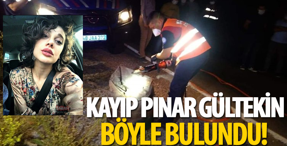 Üniversiteli Pınar Gültekin böyle bulundu!