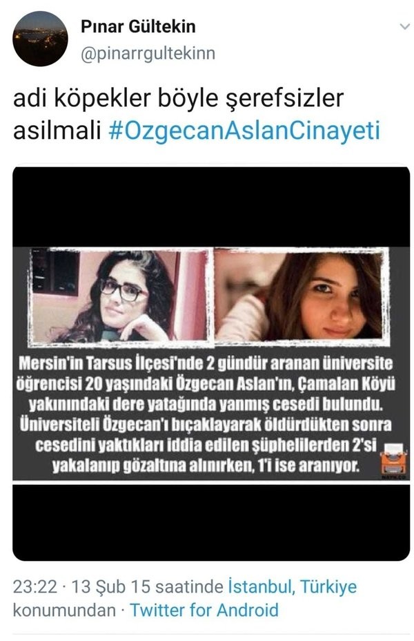 Pınar Gültekin'in Özgecan Aslan hakkındaki tweetleri ortaya çıktı