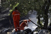 Aynı Günde 2 Orman Yangını