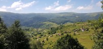 Dev Proje Umut Oldu