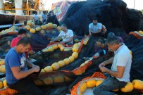 Giresunlu Balıkçılar Yeni Sezon Hazırlıklarına Başladı Haberi