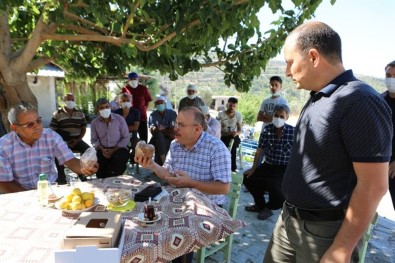 İncirde 7 Bin Ton Rekolte Bekleniyor