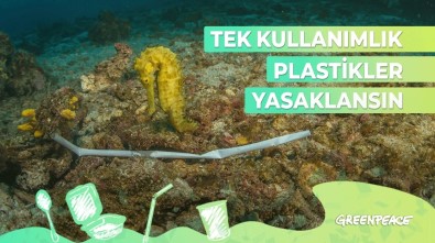 Kartal Belediyesi'nden Greenpeace'in Kampanyasına Destek