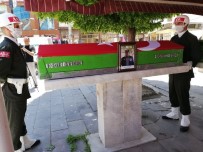 Kazada Ölen Kıbrıs Gazisi Askeri Törenle Toprağa Verildi Haberi