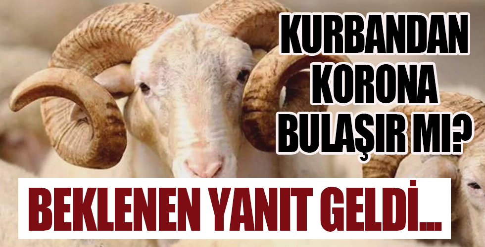 Kurbanın kendisinden koronavirüs bulaşmaz!