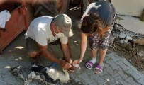 Leylek Dostu Avşar Mahallesi'nde Yaralı Leylek İçin Seferberlik