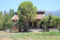 Pınar Gültekin'in Öldürdüğü Evin İçi Görüntülendi