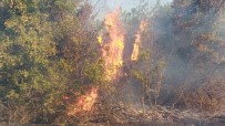 Tekirdağ'da Orman Yangını Açıklaması Havadan Ve Karadan Müdahale Ediliyor Haberi
