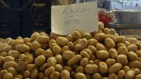 Türkiye'de Bu Yıl 5 Milyon Ton Patates Üretimi Bekleniyor Haberi