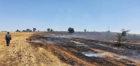 Uşak'ta Çıkan Yangında 100 Hektar Alan Zarar Gördü Haberi