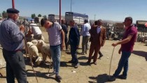Afyonkarahisar'da Hayvan Pazarında Hareketlilik Haberi