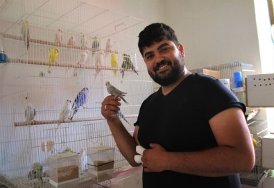 Genç Cami İmamı Hobi Olarak Kuş Yetiştiriciliği Yapıyor