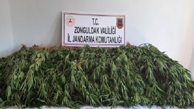 İki İşçinin Ölü Bulunduğu Soruşturmada Uyuşturucu Ele Geçirildi