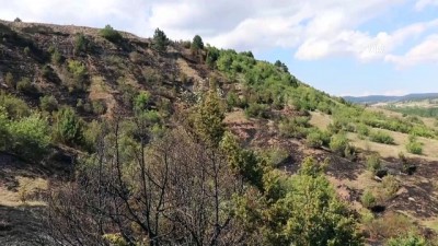 Kastamonu'da Çıkan Örtü Yangını Kontrol Altına Alındı