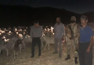 Kayıp Olan 300 Adet Küçükbaş Hayvan Drone İle Bulundu