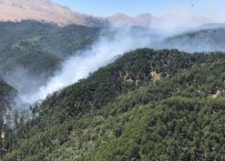 Kızıldağ'da Orman Yangını Haberi