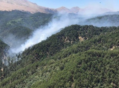 Kızıldağ'daki Orman Yangını Kontrol Altına Alındı