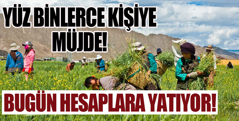 Bakan Pakdemirli müjdeyi verdi!