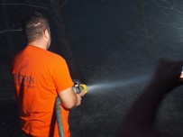 Edirne'deki Orman Yangını Kontrol Altına Alındı Haberi