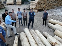 Akduman Açıklaması 'Anamur'da Ormanları Tehlikelere Karşı Daha Dayanıklı Hale Getirdik' Haberi