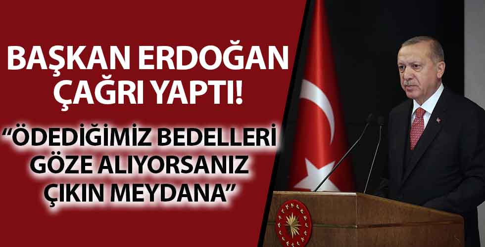 Cumhurbaşkanı Erdoğan çağrı yaptı: Ödediğimiz bedelleri göze alıyorsanız çıkın meydana