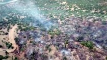 Malatya'da Çıkan Yangında 10 Hektar Ormanlık Alan Zarar Gördü Haberi