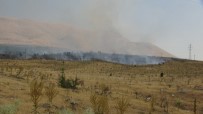 Malatya'da Orman Yangını Haberi