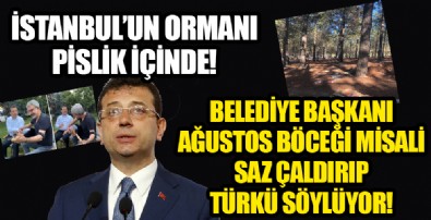 Denizlerden sonra kirlenme sırası kent ormanlarına geldi!