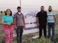 Diyarbakır'da 'Lavanta Aşk Bahçesi' Açıldı Haberi