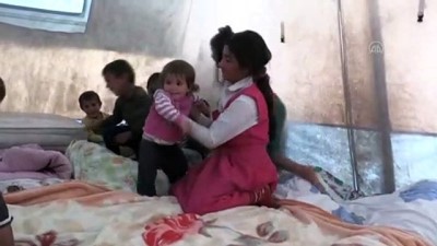 Ağrı'da Yağışlardan Evleri Hasar Gören Aileye Yaşam Konteyneri Tahsis Edildi