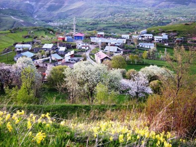 Ardahan'ın İlçelerinde Müftü, Posof'un Köylerinde İmam Yok