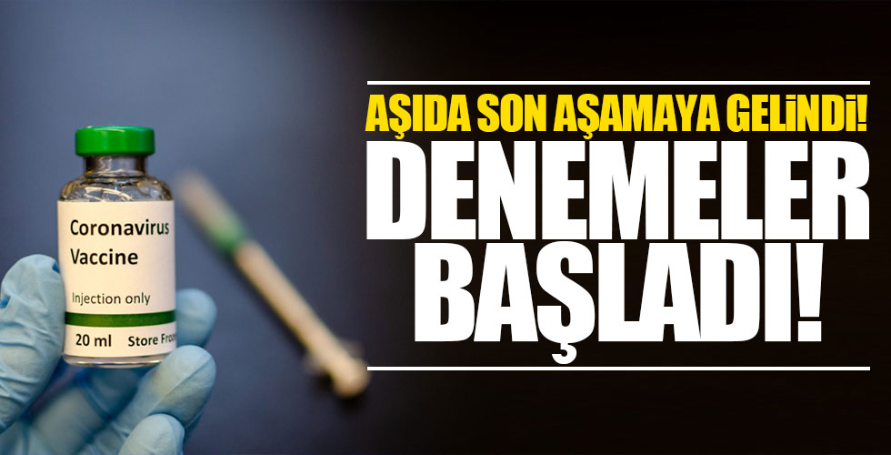 Aşıda son aşamaya gelindi!