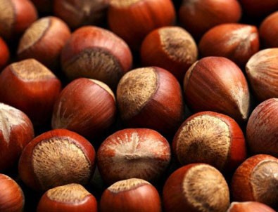 Başkan Erdoğan fındık fiyatlarını açıkladı!