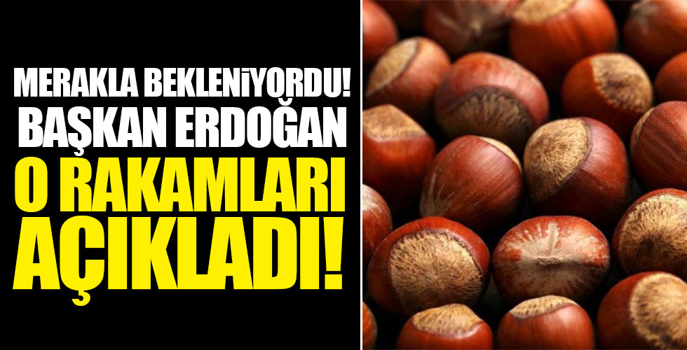 Başkan Erdoğan fındık fiyatlarını açıkladı!