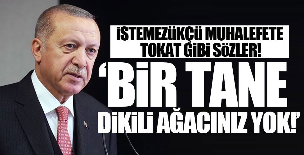 Başkan Erdoğan'dan önemli açıklamalar!