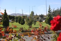 Bingöl'de Üretilen 150 Bin Bitki Toprakla Buluştu