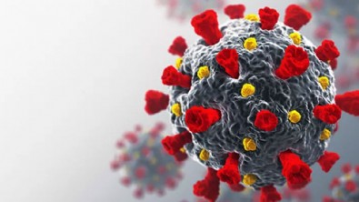 Dünya Sağlık Örgütü’nden itiraf gibi corona virüsü açıklaması!