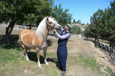 Faytondan Özgürlüğe