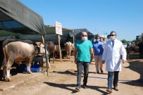 İzmir'de Kurban Satış Yeri Denetimleri Sürüyor