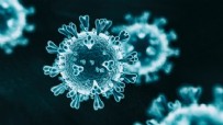 OSMANGAZİ ÜNİVERSİTESİ - Koronavirüs Bilim Kurulu üyesinden dikkat çeken 'bayram namazı' uyarısı! 'Abdestinizi mutlaka...'