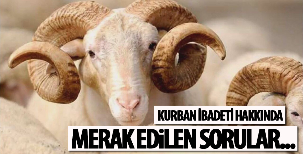 Kurban ibadeti hakkında merak edilen sorular