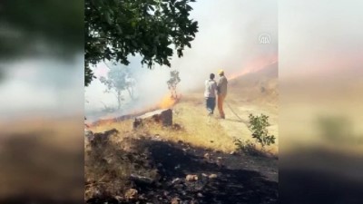 Siirt'in Baykan İlçesinde Çıkan Orman Yangını Kontrol Altına Alındı