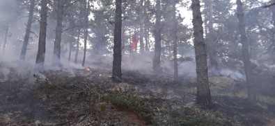 Amasya'da Korkutan Orman Yangını