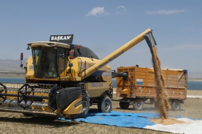 Bitlis'te 100 Milyon TL'lik Buğday Hasılatı Bekleniyor