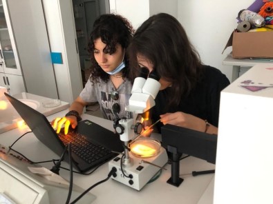 Bursalı Öğrenciler Fizik Alanında TÜBİTAK 4'Üncüsü Oldu