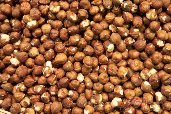 Cumhurbaşkanı Erdoğan fındık fiyatlarını açıklad!