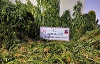 İzmir'de Ormanlık Alanda Uyuşturucu Operasyonu Haberi
