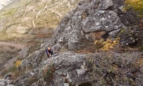 Kayalıklarda Mahsur Kalan Keçiyi AFAD Kurtardı Haberi