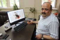 KKKA'da Sevindirici Haber, 20 Gündür Ölüm Yok