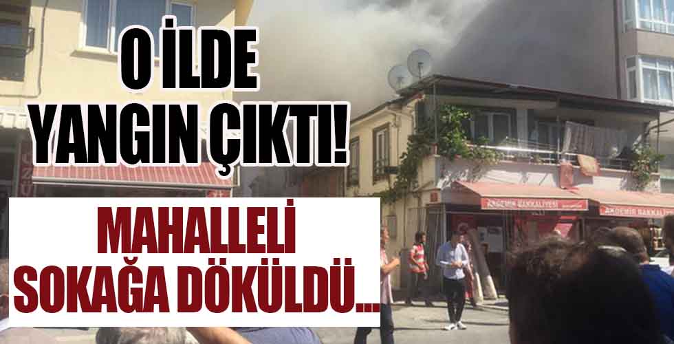 Sakarya'da yangın... Mahalleli sokağa döküldü